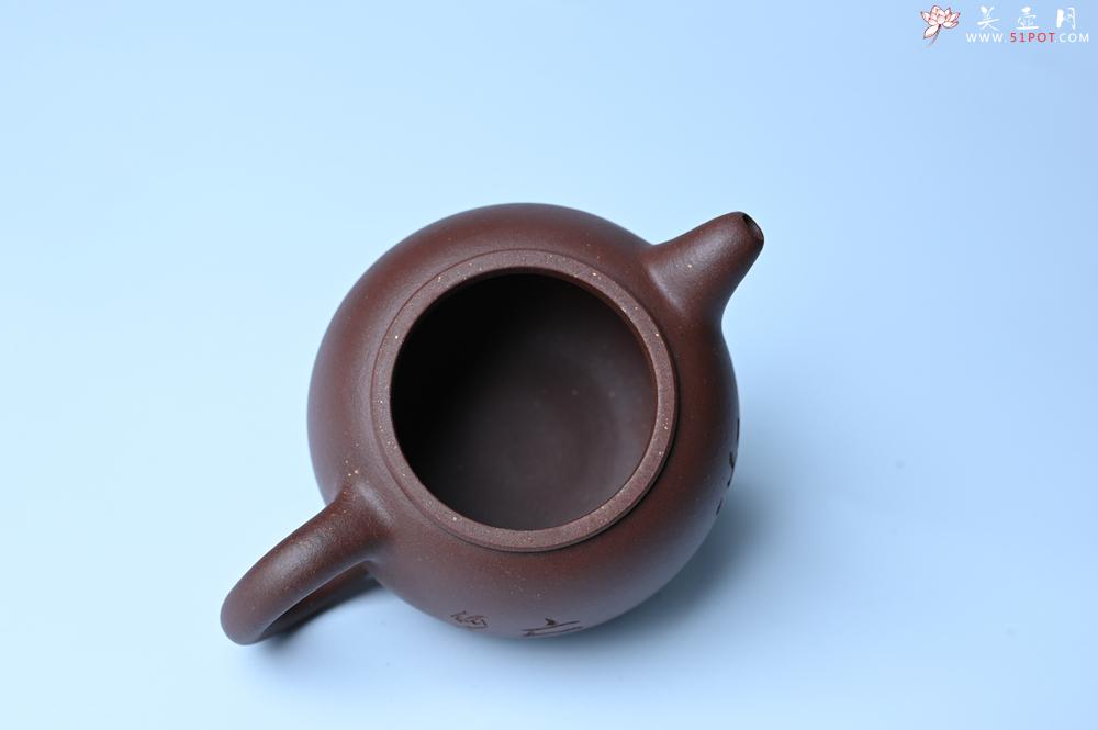 紫砂壶图片：毛国强入室弟子黄云初 特好老紫泥匏尊壶 名家何水法书法“坐忘” 刘世涛伯陶刻 - 紫砂壶之家紫砂壶网