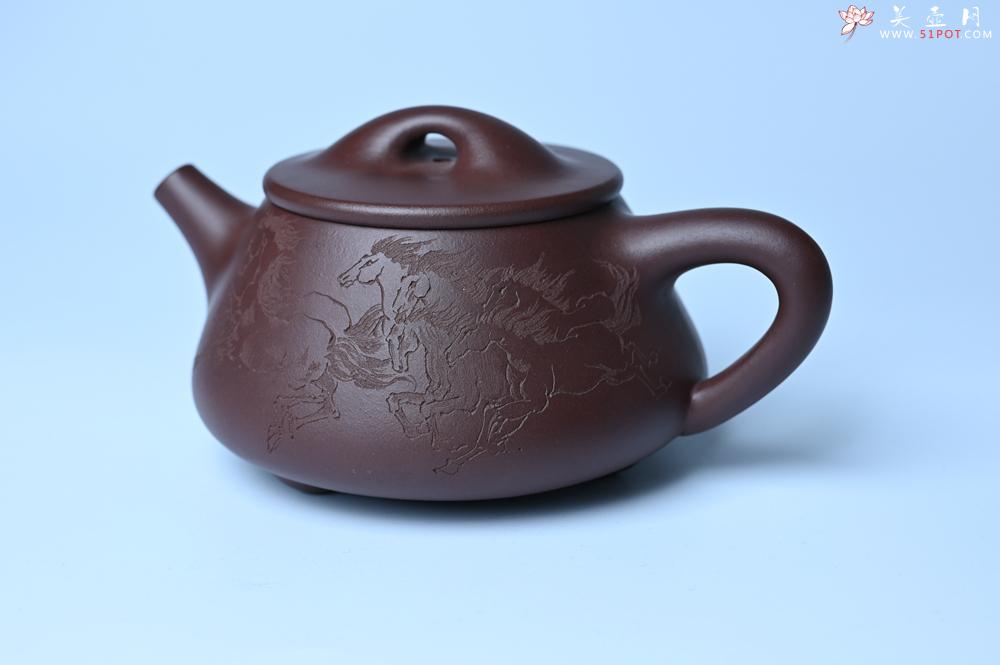 紫砂壶图片：实力派周斌 优质底槽青全手工精工满瓢壶  范小君徒杨志超装饰七骏图 - 紫砂壶之家紫砂壶网