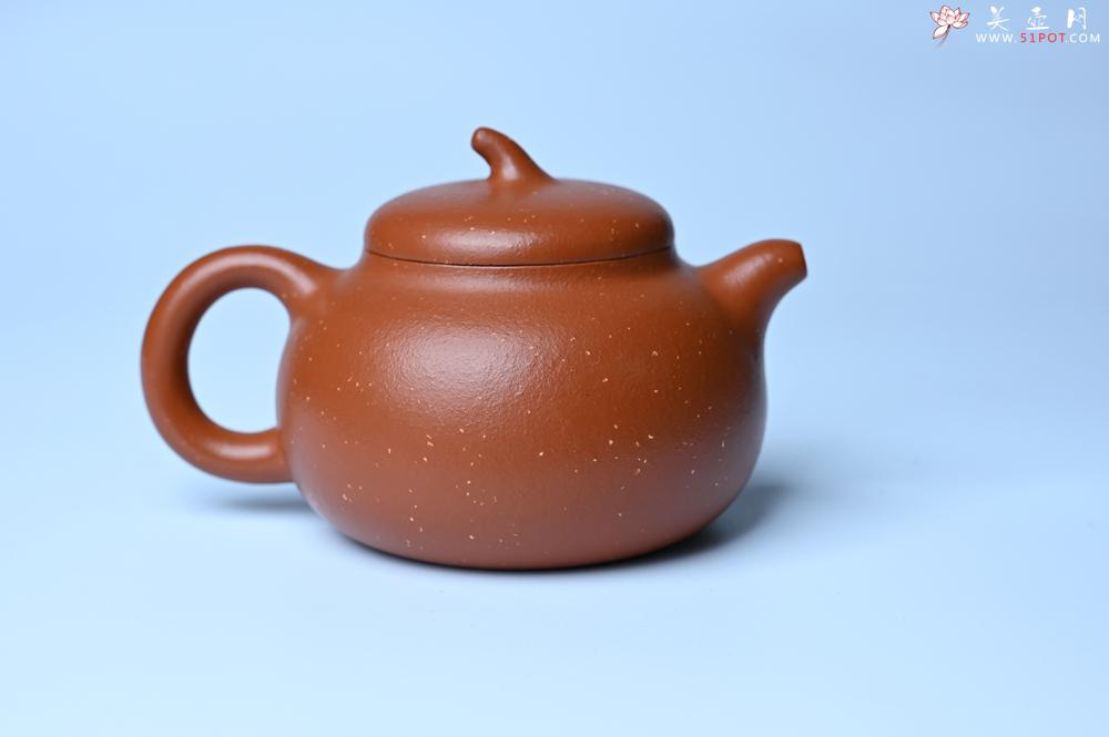 紫砂壶图片：美壶特惠 特好红泥桂花砂茄段壶 茶人醉爱 - 紫砂壶之家紫砂壶网