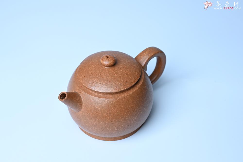 紫砂壶图片：美壶特惠 特好黄降坡泥巨轮珠紫砂壶 茶人醉爱 - 紫砂壶之家紫砂壶网