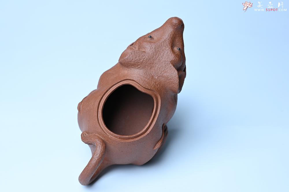 紫砂壶图片：美壶特惠 优质降坡泥鼠你有钱壶壶 茶人醉爱 - 紫砂壶之家紫砂壶网