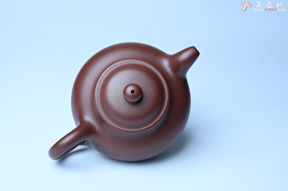 紫砂壶图片：潜力股周小培老师 4号井深井红皮龙 超精致全手工莲子茶壶 - 紫砂壶之家紫砂壶网