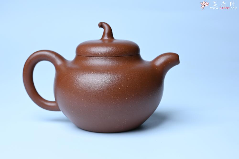 紫砂壶图片：潜力股周小培老师 油润降坡泥全手工茄瓜壶 - 紫砂壶之家紫砂壶网