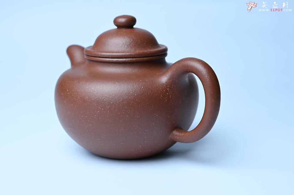 紫砂壶图片：美壶特惠 精致降坡泥大亨掇只壶 茶人醉爱 - 紫砂壶之家紫砂壶网