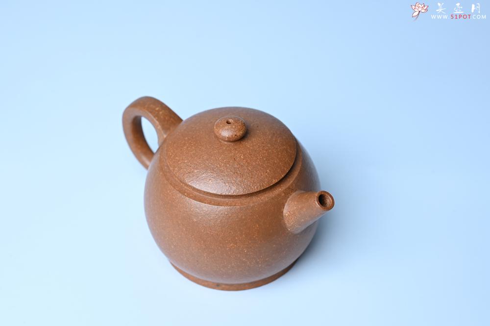 紫砂壶图片：美壶特惠 特好黄降坡泥巨轮珠紫砂壶 茶人醉爱 - 紫砂壶之家紫砂壶网