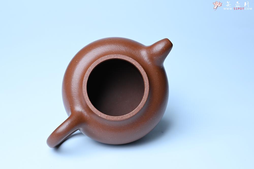 紫砂壶图片：潜力股周小培老师 油润降坡泥全手工茄瓜壶 - 紫砂壶之家紫砂壶网