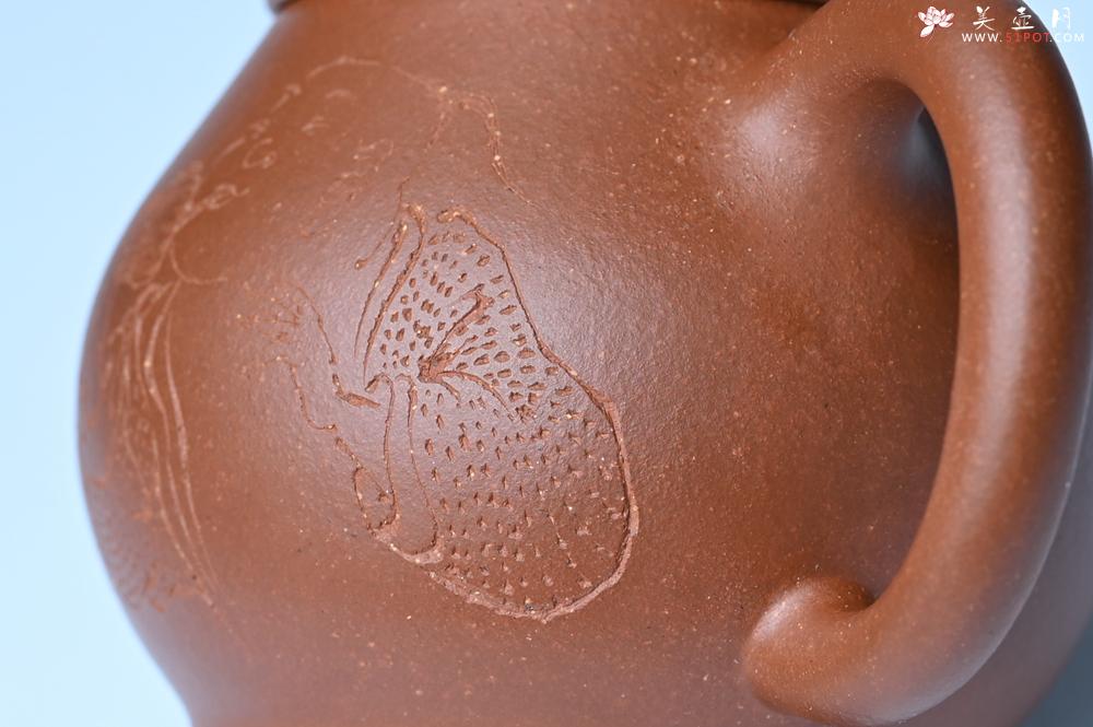 紫砂壶图片：美壶特惠 王老师 全手工红降坡泥潘壶 国助工 易轩 范小君徒杨志老师刻绘 装饰小富贵特文气 - 紫砂壶之家紫砂壶网