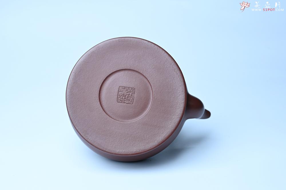 紫砂壶图片：潜力股周小培老师 4号井深井红皮龙 超精致全手工天星提梁壶 - 紫砂壶之家紫砂壶网