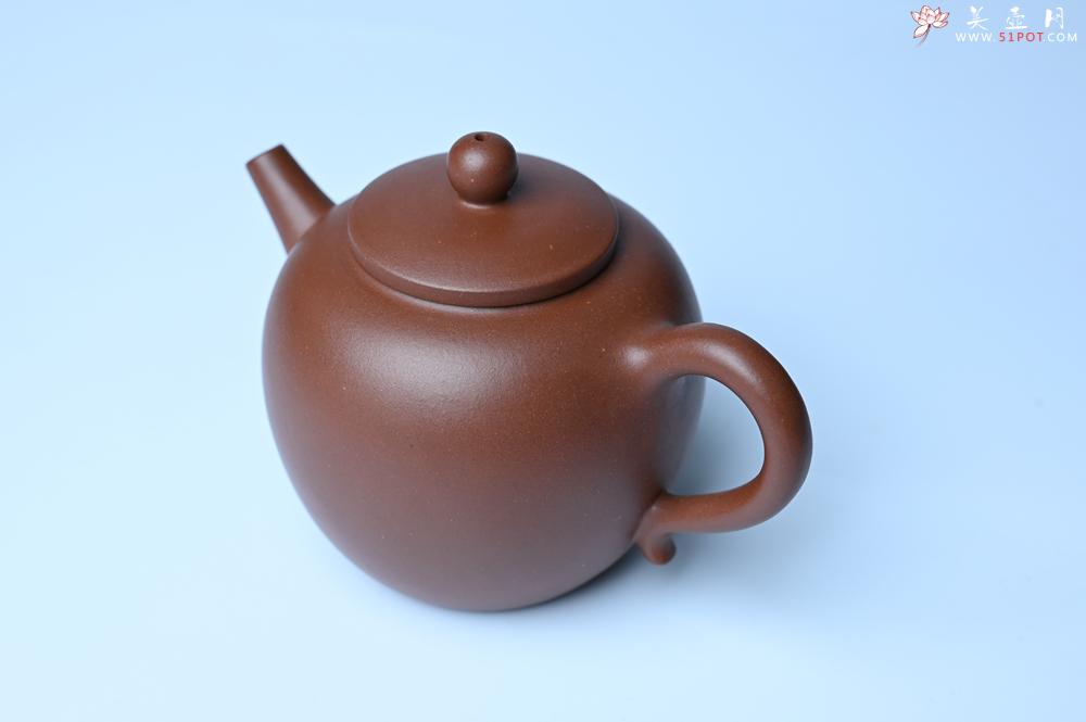 紫砂壶图片：毛国强入室弟子黄云初 特好老紫泥清莲壶 何水法书法清白 刘世涛伯陶刻 - 紫砂壶之家紫砂壶网