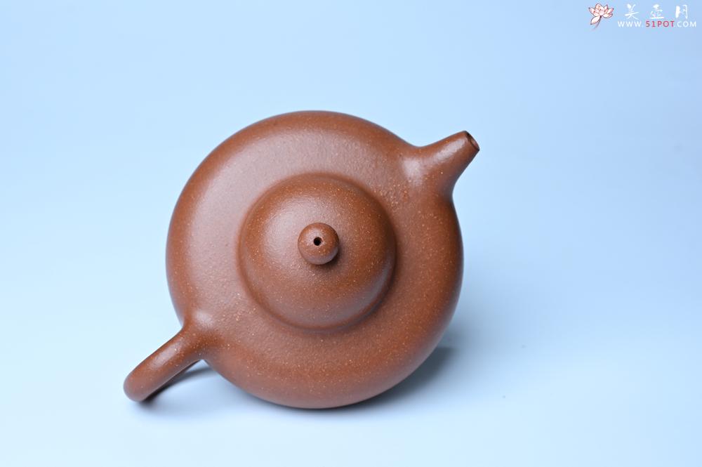 紫砂壶图片：美壶特惠 精致特好降坡泥华颖壶 茶人醉爱 - 紫砂壶之家紫砂壶网