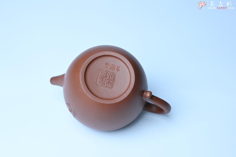 紫砂壶图片：毛国强入室弟子黄云初 特好老紫泥清莲壶 何水法书法清白 刘世涛伯陶刻 - 紫砂壶之家紫砂壶网