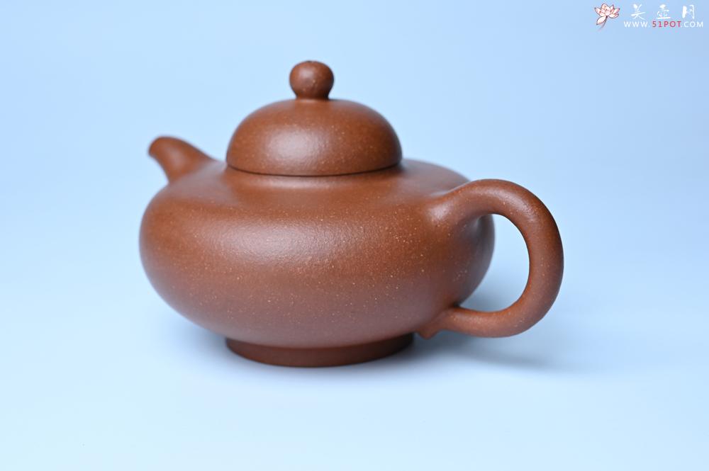 紫砂壶图片：美壶特惠 精致特好降坡泥华颖壶 茶人醉爱 - 紫砂壶之家紫砂壶网