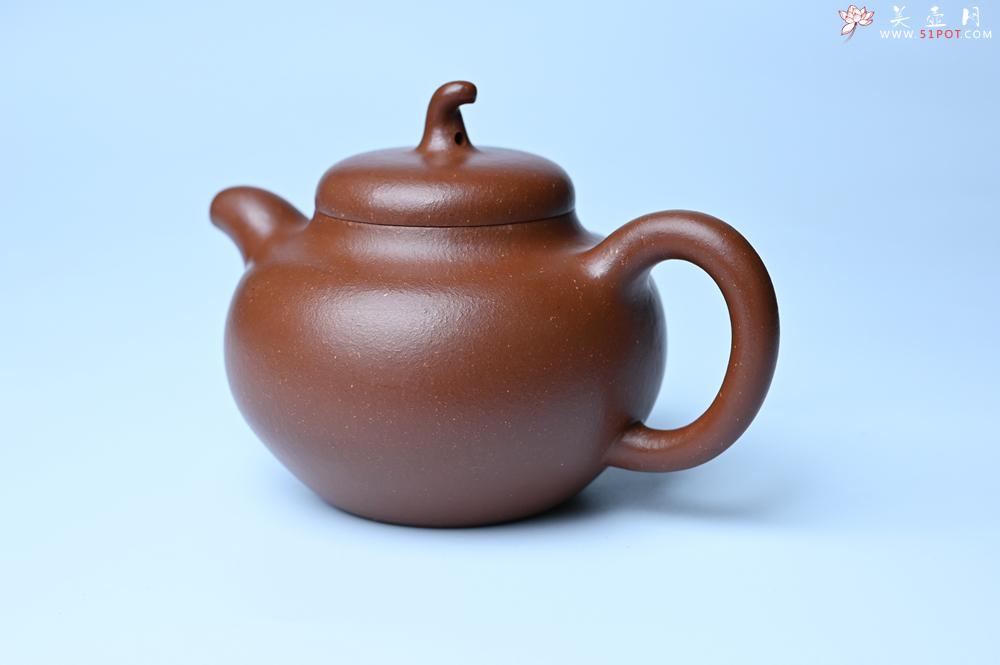 紫砂壶图片：潜力股周小培老师 油润降坡泥全手工茄瓜壶 - 紫砂壶之家紫砂壶网