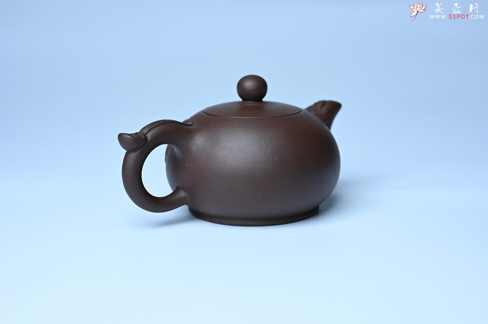 紫砂壶图片：美壶特惠 优质老紫泥福在眼前壶 茶人醉爱 - 紫砂壶之家紫砂壶网