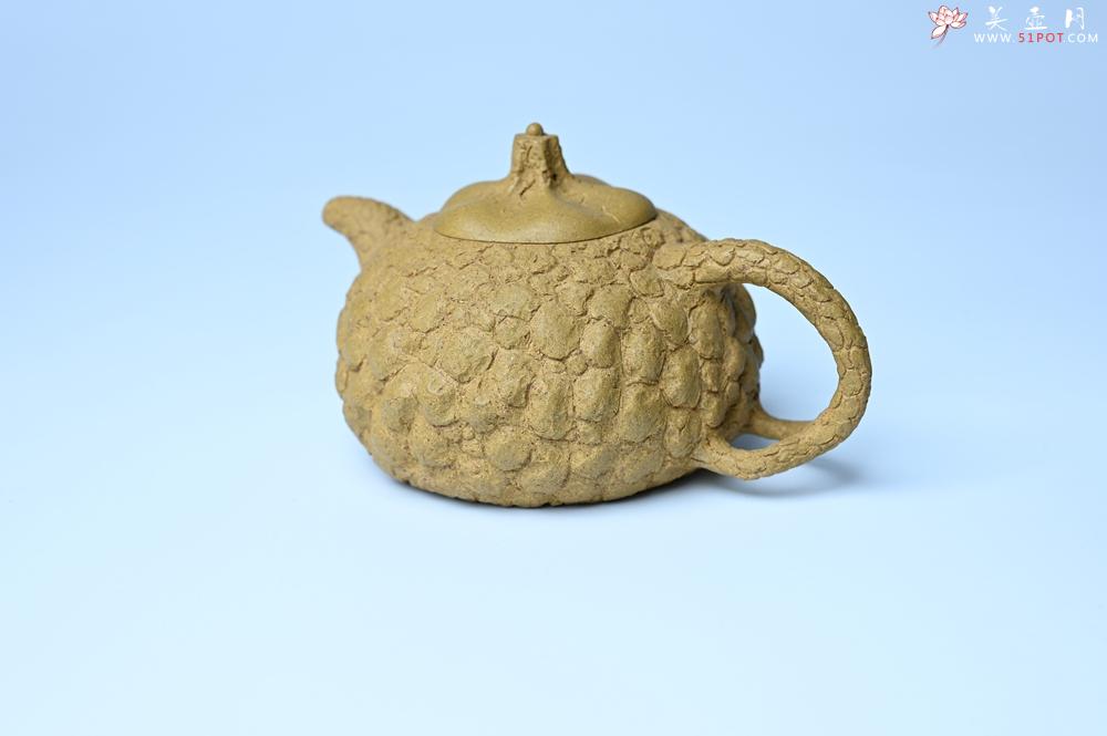 紫砂壶图片：美壶特惠 全手工黄段供春 肌理有老树瘿的感觉 灰常赞 - 紫砂壶之家紫砂壶网