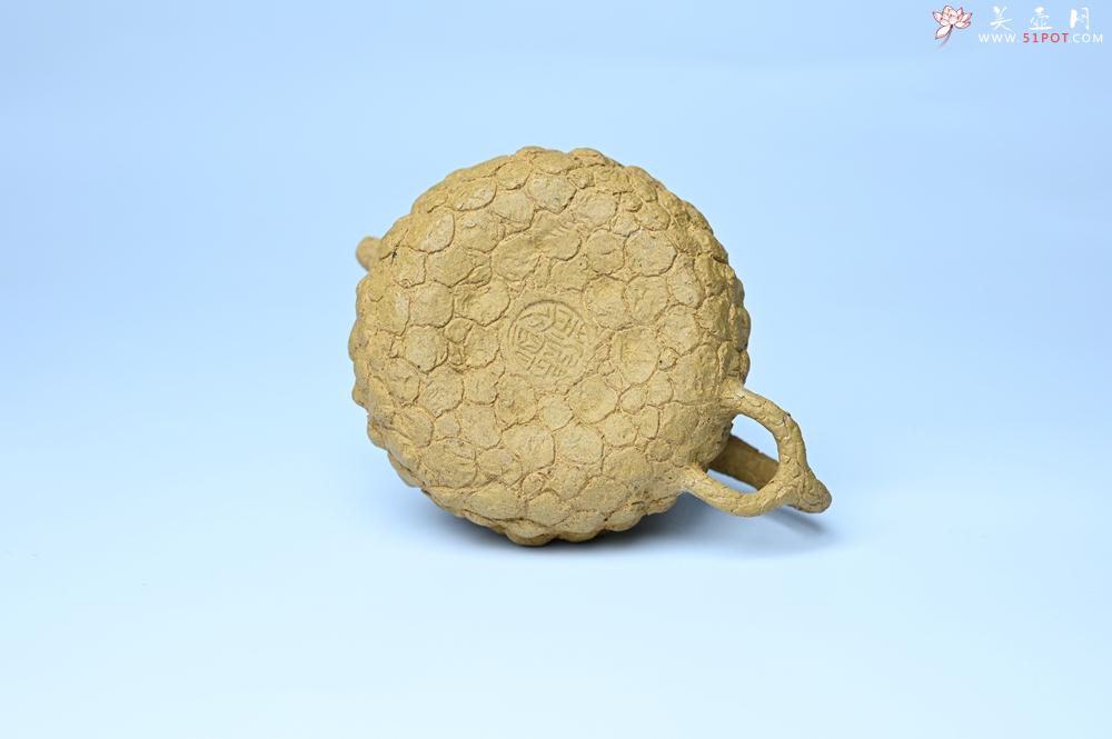 紫砂壶图片：美壶特惠 全手工黄段供春 肌理有老树瘿的感觉 灰常赞 - 紫砂壶之家紫砂壶网