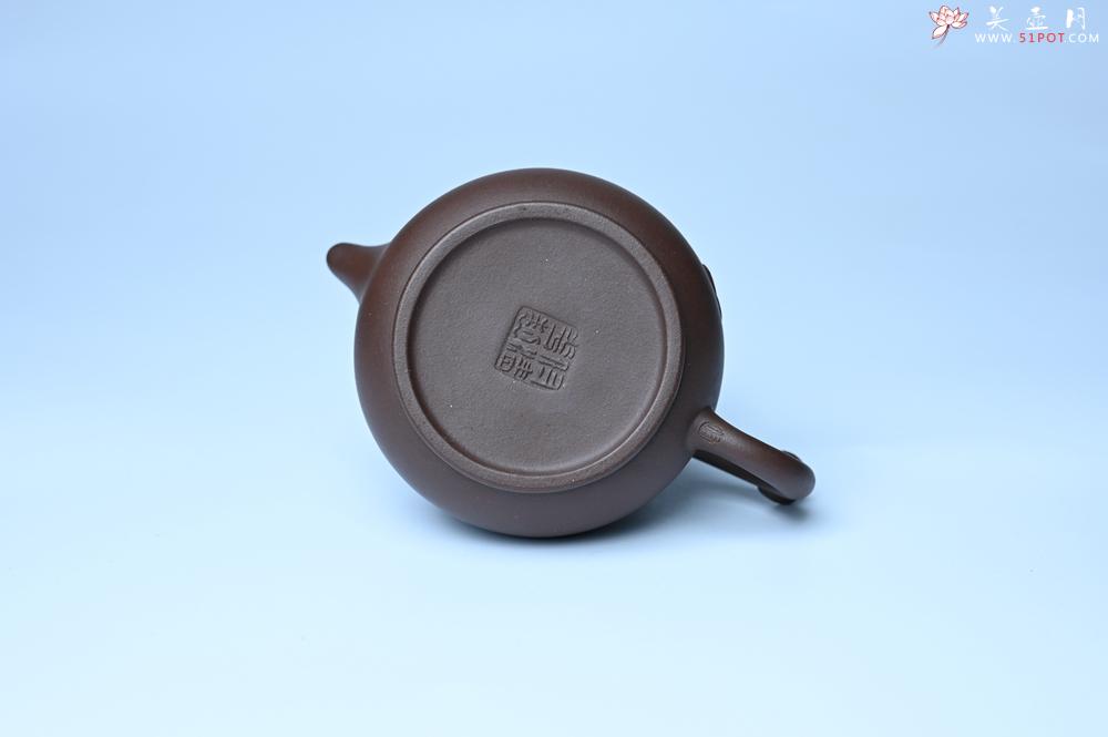 紫砂壶图片：美壶特惠 优质老紫泥福在眼前壶 茶人醉爱 - 紫砂壶之家紫砂壶网