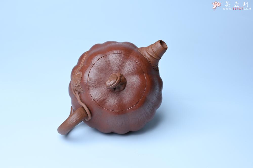 紫砂壶图片：美壶福利特惠 美壶专属定制 精致好料南瓜紫砂壶  肌理丰富生动 - 紫砂壶之家紫砂壶网