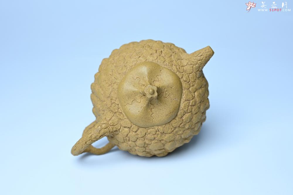 紫砂壶图片：美壶特惠 全手工黄段供春 肌理有老树瘿的感觉 灰常赞 - 紫砂壶之家紫砂壶网