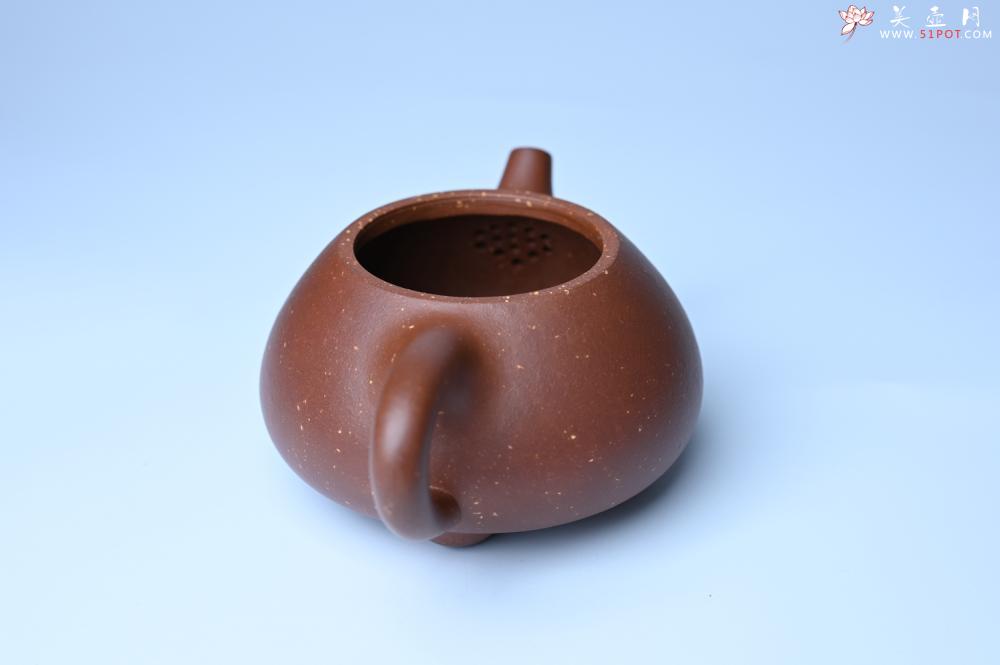 紫砂壶图片：美壶特惠 精致特好紫玉金砂满瓢景舟石瓢壶 做工和泥料不输千元作品 - 紫砂壶之家紫砂壶网