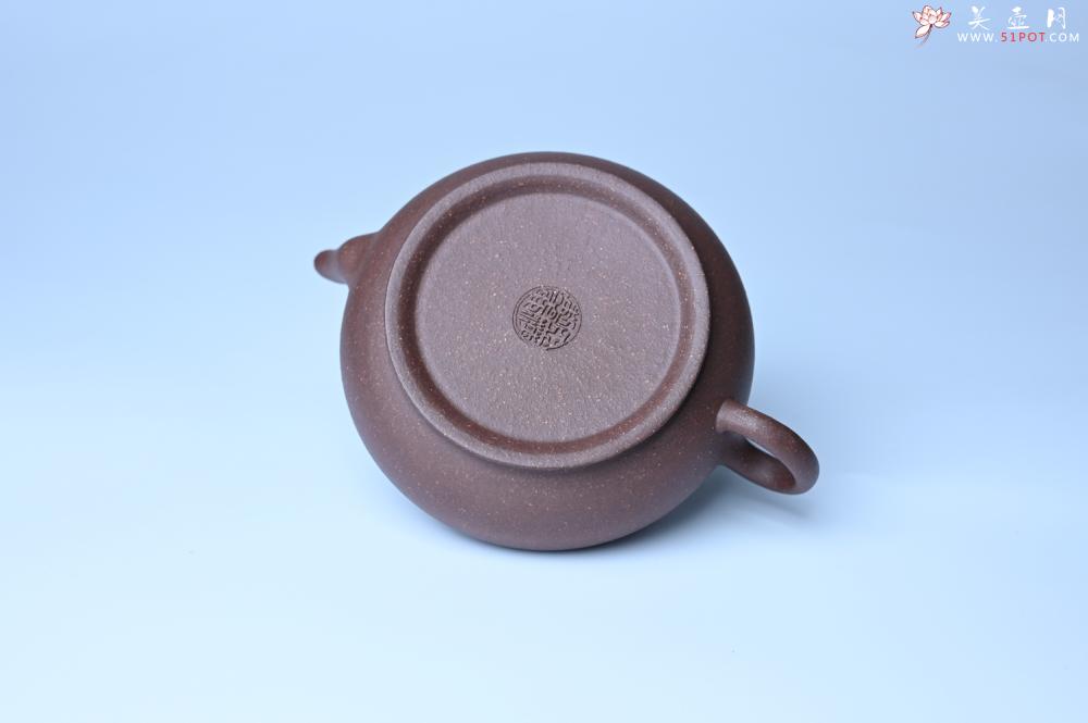 紫砂壶图片：美壶特惠 特好紫泥扁玉壶 装饰不老松 文气十足 - 紫砂壶之家紫砂壶网