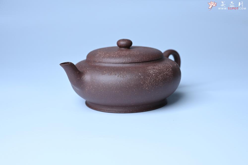 紫砂壶图片：美壶特惠 特好紫泥扁玉壶 装饰不老松 文气十足 - 紫砂壶之家紫砂壶网